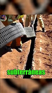 💧🏗️⚙️ Megaflo Gree: what it's used for #viral #funfacts