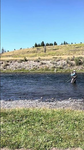 Fish On - Fly Fishing the Madison in Yellowstone National Park