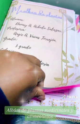 Álbum de Plantas Medicinales: Ideas Creativas y Tutoriales