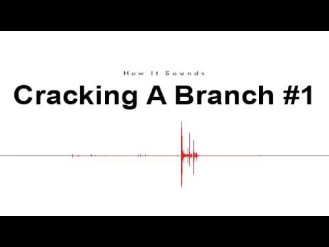Cracking A Branch #1 Sound Effect