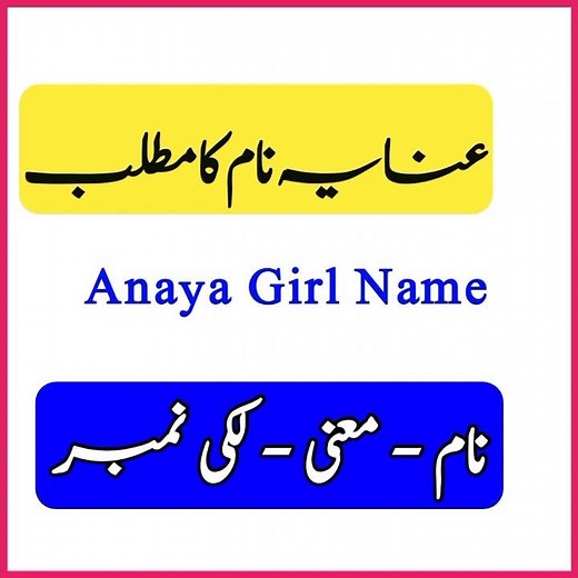 Anaya Name Meaning in Urdu English | Anayya naam ka matlab | عنایہ نام کے معنی Baby Name Creator