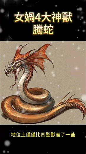 女媧4大神獸 - 騰蛇 #女媧 #神話 #妖怪