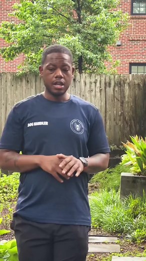 7.4K views · 156 reactions | Potty training 101: know what goes in and when ⏱️ so that you know what and when it needs to come out #pottytraining | Kaizen Canine | Facebook