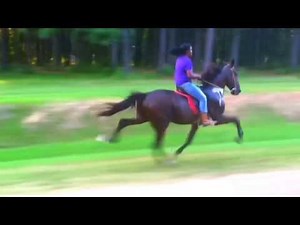 Singlefooting with Brittney Thomas and Enterprise