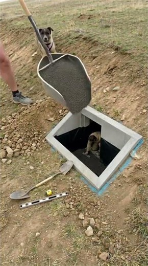 I TURNED A HILLSIDE INTO A SECRET LUXURY BUNKER #construction #timelapse #bunker