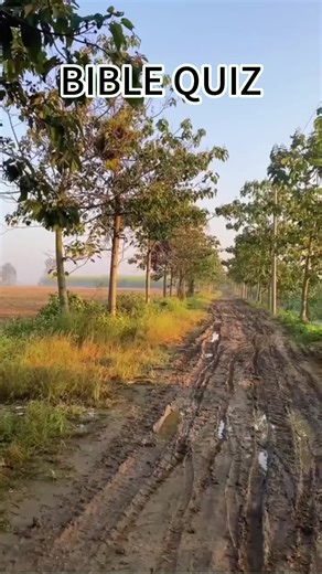 Bible Quiz Challenge: Test Your Knowledge on Scripture