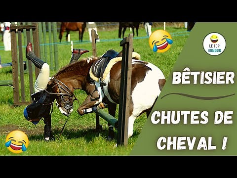 Chute de Cheval | Essayer de ne pas rire 2020 | Vidéo Drôle à Mourir de Rire | Fail à Cheval
