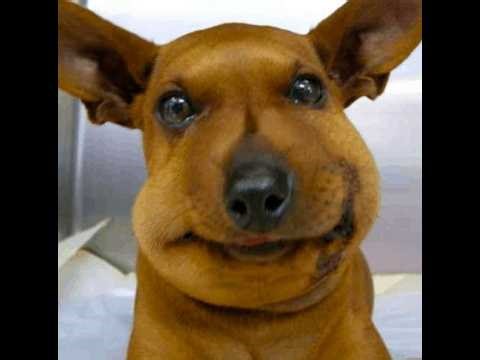 building jesus statue