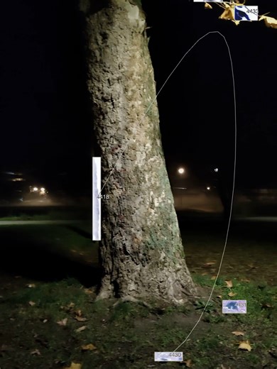 Windwalk #touchdesigner #blob #motiondesign #realtime #blobtracking #beograd#novibeograd#belgrade #blokovi