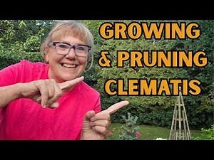Growing & Pruning Clematis