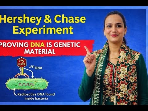Hershey & Chase Experiment + Avery-Macleod | DNA as Genetic Material | Class 12 Biology