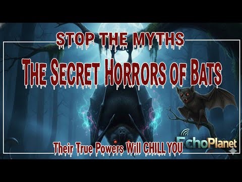 The Creature That Flies To The Moon | Top 5 Secrate Of The Bat