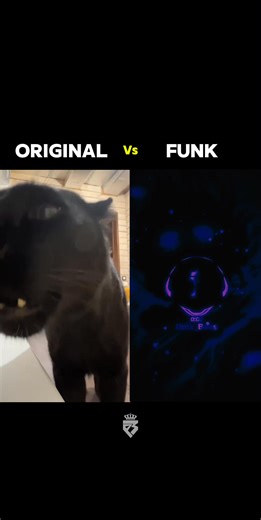 440K views · 32K reactions | PANTHER FUNK (Super Slowed) ️| Original vs FUNK ️ #PANTHER FUNK (Super Slowed) #phonkmusic #music_phonk #slowedandreverb #lyricsvideo #trend #bassboosted #headphones #originalvsfunk #slowedsongs #funk .MOV | Push Music Songs | Facebook