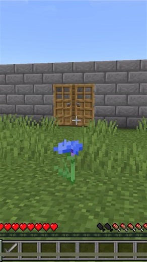 Easy Trap For Your Friends 😆 #minecraft