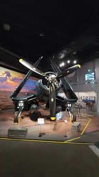 The Amazing Citizen Promaster Navihawk A-T Eco-Drive Pilot Watch