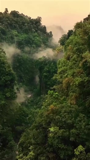 Videos de Daniela Martinicorena (@daniela_msl) con “оригинальный звук - armenian_speed_songs”