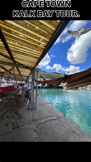 🌊✨ Discover Kalk Bay Cape Town’s most charming seaside village! If you’re looking for a day filled with ocean views, colourful streets, fresh seafood and real Cape Town culture… This tour is for YOU. 🐟 Harbour walk with seals 🍽️ Fresh seafood lunch (optional) 🌊 Tidal pools & beaches 🎨 Art, boutiques & vintage finds 🚗 Scenic Boyes Drive views ☕ Olympia Bakery stop This is the perfect experience for families, couples, solo travellers, anyone who wants to enjoy the coast the right way! 📲 Boo