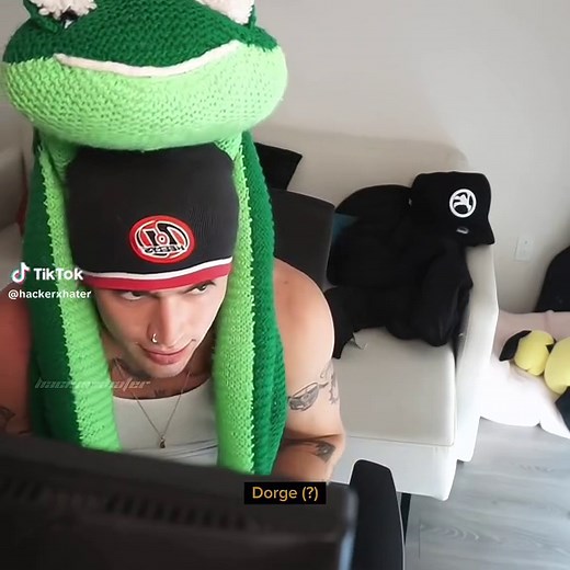 Meet Vinnie and his Cat-Eating Frog Son