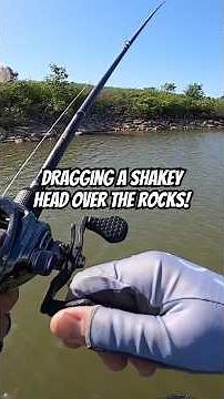 Big fish at Lake Humphreys‼️ (Oklahoma) #bassfishing #fishing #oklahoma