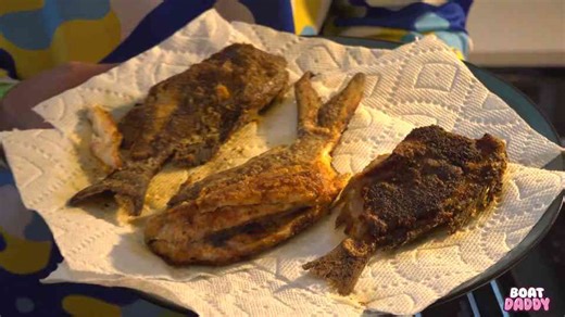 How tiny bait fish turned into a ten out of ten meal