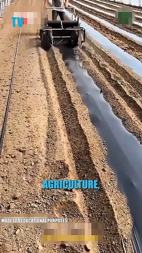 When Farming Meets Plastic Precision How a simple plastic sheet revolutionized modern farming. #AgriTech #EngineeringFailsAndFixes #SmartFarming #TechInAction #InnovationUnfolded | Tech Vision yt