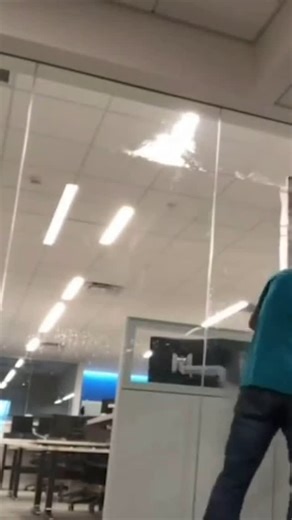 Sign Maker Tools Ltd. on Instagram: "YelloRapid REMOVER - Ripping vinyl off since 2007. Fast. Clean. Done. ••• Order your #PROgrade installation tools and shop essentials for #signshop #printshop and #wrapshop at signmakertools.ca 🇨🇦✌️🇺🇸 ••• #signmakertools #vinylwrap #graphicinstaller #signmaker #signmaking #signshoplife #removal"