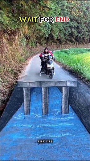 Street Art: Is Your Reality a Lie 💀