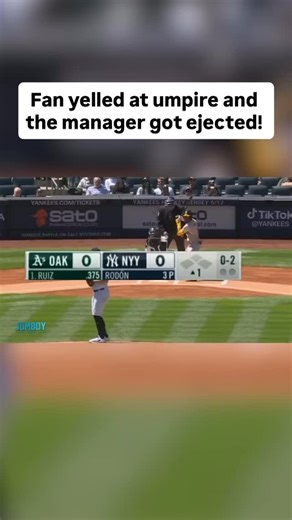 Jimmy O'Brien on Instagram: "One of the funniest ejections of all time #mlb #baseball #umpire #ejection #nyy #yankees #nyc #sports #explore"