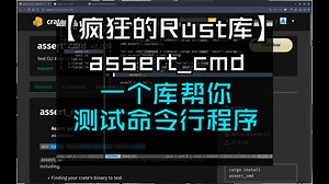 【疯狂的Rust库】assert_cmd 一个库帮你测试命令行程序_哔哩哔哩_bilibili