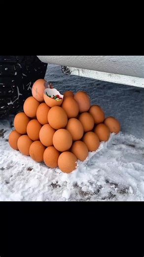 Huevos vs Carro: Un Experimento Científico