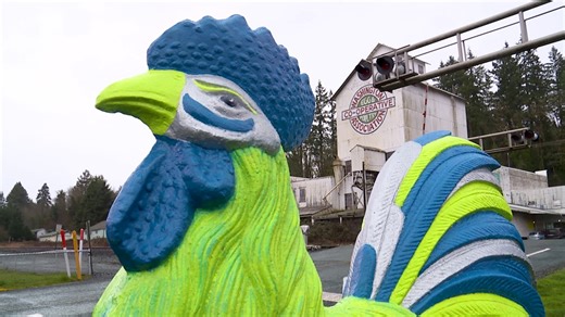 Small Washington town cheers on Seahawks in colorful way