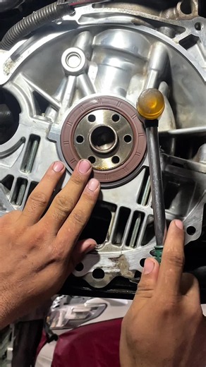 Guess the Seal Name? — Car Mechanic Challenge