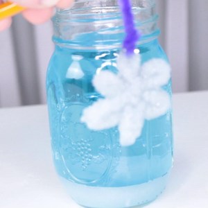 11 reactions | Make your own snowflakes in a jar! No snow or ice required. Full instructions >>> https://www.steamsational.com/borax-crystal-snowflakes | Jarring Science for Kids | Facebook