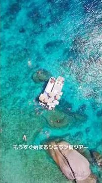 シミラン島ツアーは選べる4種類#SeaStar #プーケット #プーケットオプショナル #プーケット旅行 #プーケットオプショナルツアー #プーケットゴールドトラベル #シミラン島