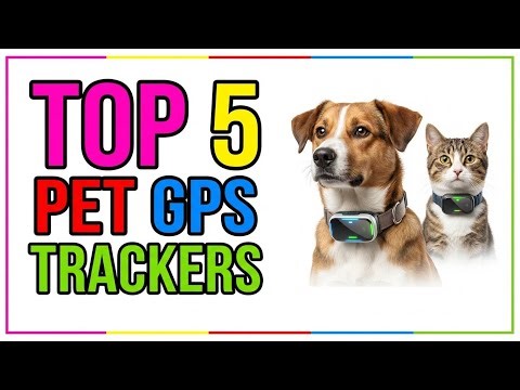 TOP 5 Best GPS Trackers for Pets 2026 | Keep Tabs on Your Furry Friend for Peace of Mind