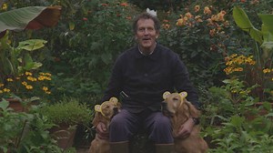 What are you doing in aid of BBC Children in Need? Have you got your ears on like Nigel and Nellie? 🐾 😍 | BBC Gardeners World