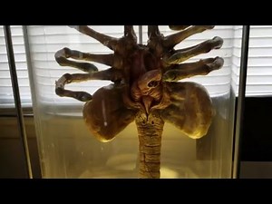 Alien Facehugger in Stasis Tube Prop Replica Aliens AvP Xenomorph