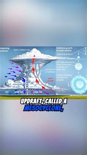 What is a Super Cell Thunderstorm?