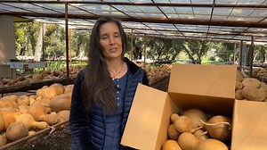 1.3K views · 75 reactions | Here is the latest update from Phoebe Welburn who wants to let you know what's going on at the Farm! | Welburn Gourd Farm | Facebook