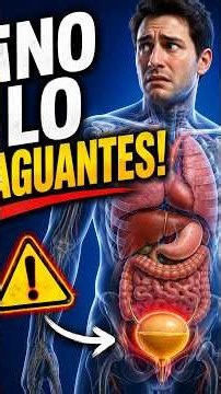 ¿Qué le pasa a tu cuerpo cuando aguantas las ganas de orinar? 😱