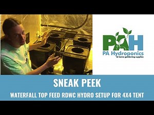 Fallponic Waterfall Top Feed RDWC Hydro Setup for 4x4 Tent