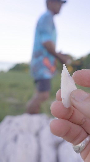 137K views · 2.6K reactions | Nature has everything we needed in a much simpler time. #hunting #australia #ancientculture | Wild Reaches | Facebook