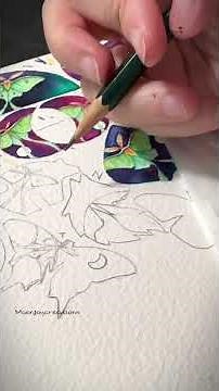 Drawing a luna moth. A simple little sketch of a luna moth. #arthealing