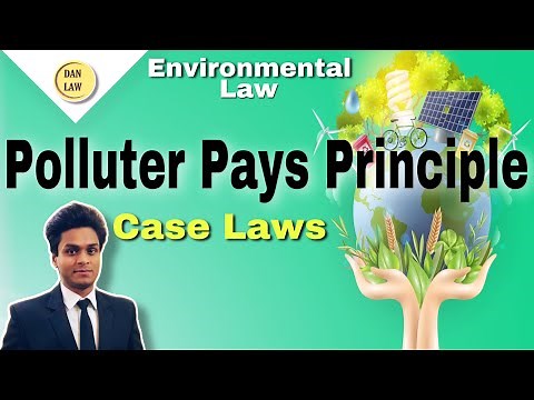 Polluter Pays Principle || Environmental Law || Polluter pays Principle with case laws |BY DA Nandan