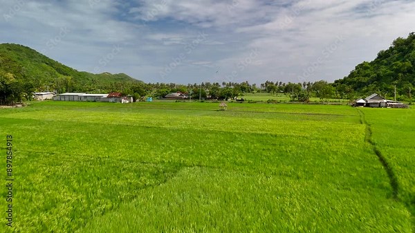 Lush green rice fields in Pantai Lancing Lombok with houses and hills in the background