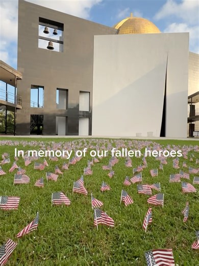 University of St. Thomas on Reels