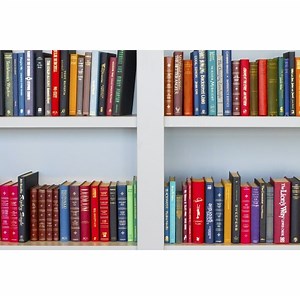 How to Make Observations Using the Scientific Method | Synonym