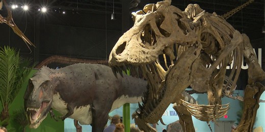 Indiana Dinosaur Museum holds grand opening