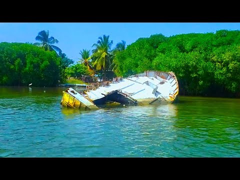 Negombo Lagoon Complete Tour | Made In Sri Lanka