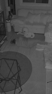 1.9M views · 12K reactions | Who needs a security system when you’ve got me?  #sleepwalking #comedy #fblifestyle | Celinaspookyboo | Facebook